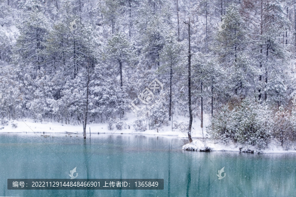 玉龍雪山藍(lán)月谷雪景