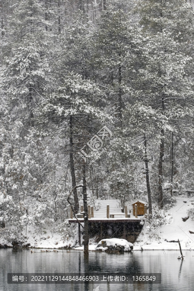 玉龍雪山藍月谷雪景