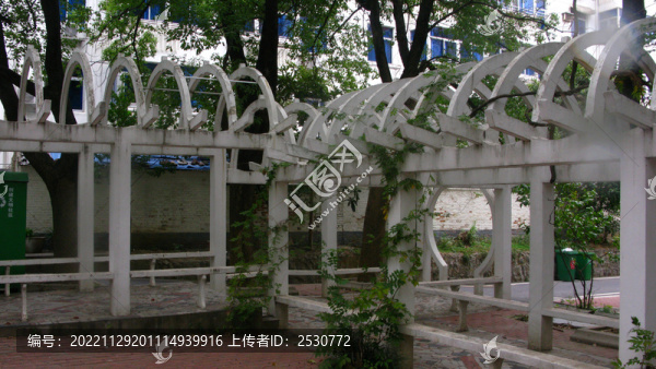 小區(qū)里水泥預(yù)制的葡萄架