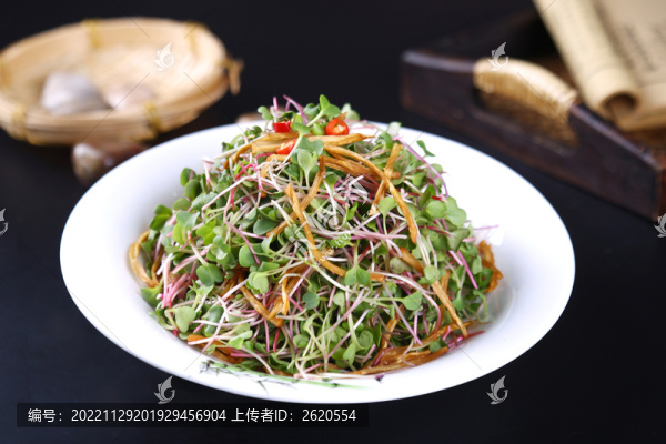 金絲蘿卜苗