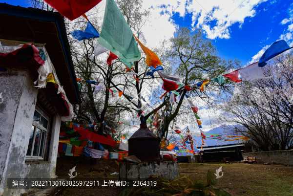 林芝卡斯木村