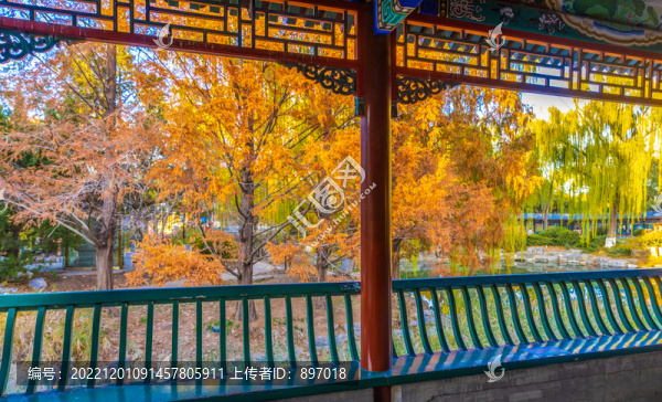 公園秋色