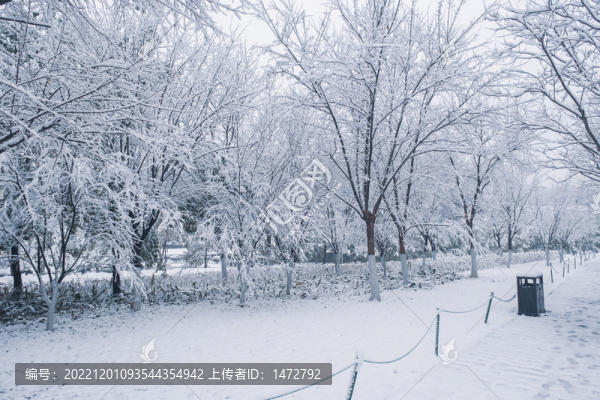 武漢東湖磨山風(fēng)景區(qū)冬季雪景