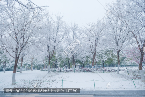 武漢東湖磨山風(fēng)景區(qū)冬季雪景