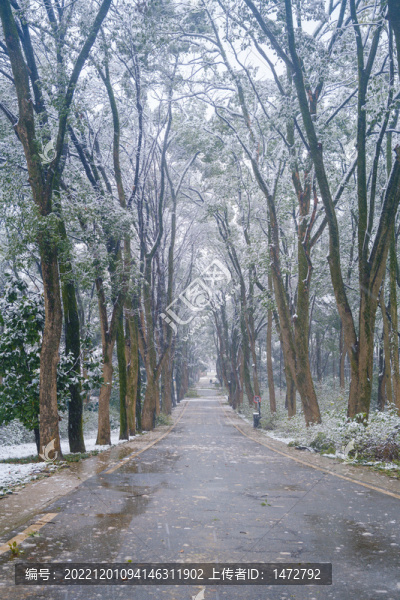 武漢東湖磨山風(fēng)景區(qū)冬季雪景