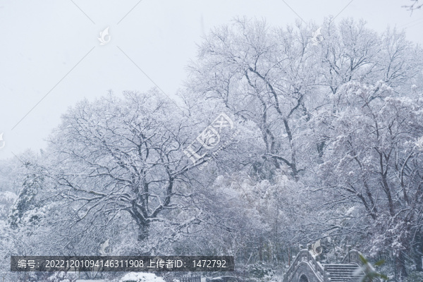 武漢東湖磨山風(fēng)景區(qū)冬季雪景