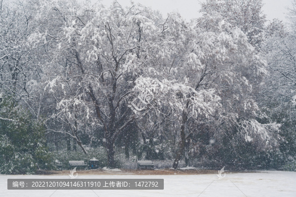 武漢東湖磨山風(fēng)景區(qū)冬季雪景