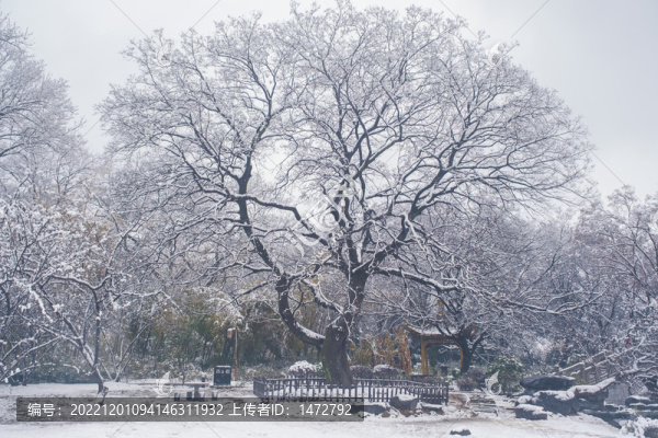 武漢東湖磨山風景區(qū)冬季雪景