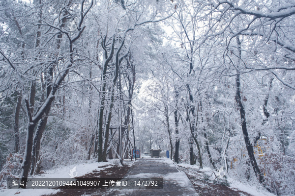 武漢東湖磨山風(fēng)景區(qū)冬季雪景