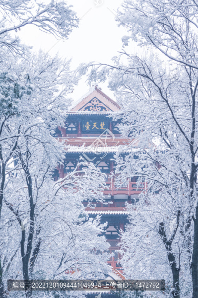 武漢東湖磨山風(fēng)景區(qū)冬季雪景