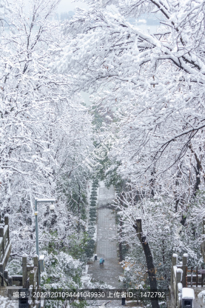 武漢東湖磨山風(fēng)景區(qū)冬季雪景