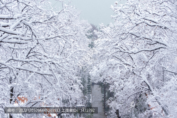 武漢東湖磨山風景區(qū)冬季雪景