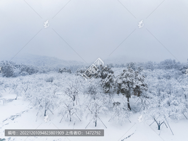 武漢東湖磨山風(fēng)景區(qū)冬季雪景