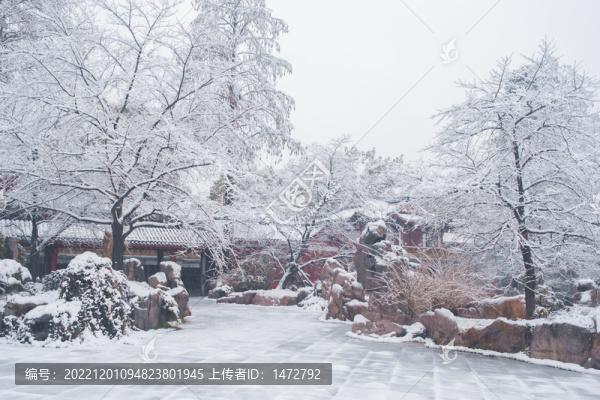 武漢東湖磨山風景區(qū)冬季雪景