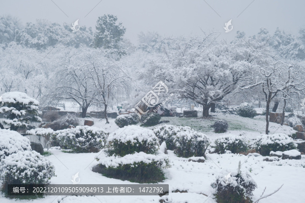 武漢東湖磨山風景區(qū)冬季雪景