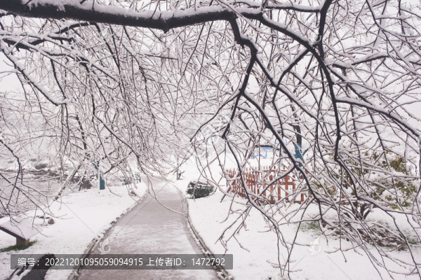 武漢東湖磨山風(fēng)景區(qū)冬季雪景