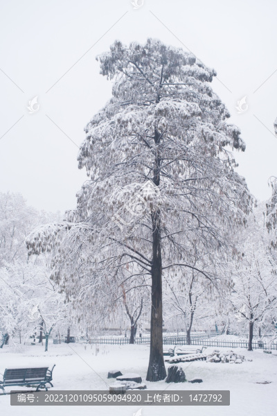 武漢東湖磨山風(fēng)景區(qū)冬季雪景