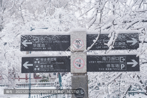 武漢東湖磨山風(fēng)景區(qū)冬季雪景