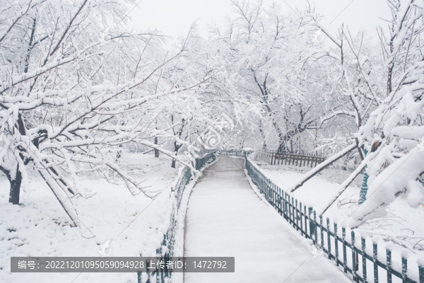 武漢東湖磨山風(fēng)景區(qū)冬季雪景