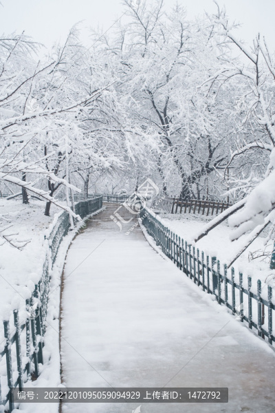 武漢東湖磨山風景區(qū)冬季雪景