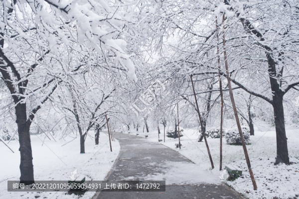 武漢東湖磨山風(fēng)景區(qū)冬季雪景