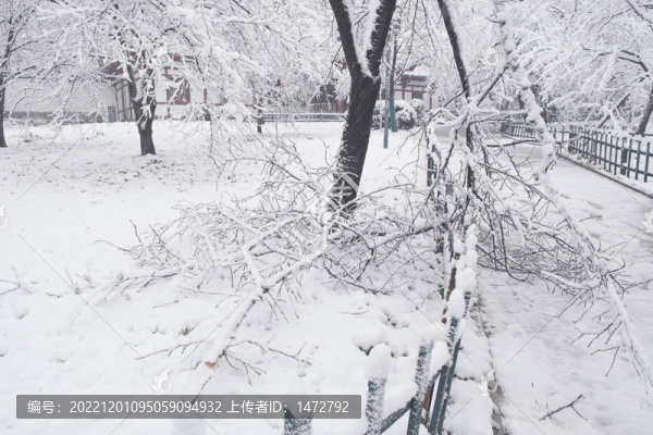 武漢東湖磨山風(fēng)景區(qū)冬季雪景