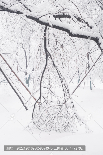 武漢東湖磨山風(fēng)景區(qū)冬季雪景