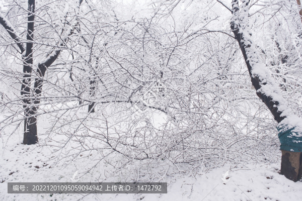 武漢東湖磨山風(fēng)景區(qū)冬季雪景