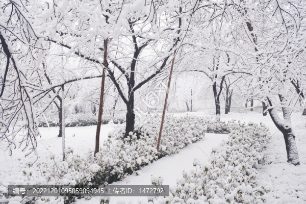 武漢東湖磨山風(fēng)景區(qū)冬季雪景