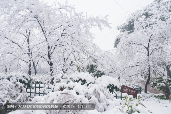 武漢東湖磨山風(fēng)景區(qū)冬季雪景