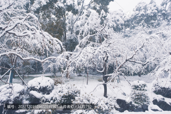武漢東湖磨山風景區(qū)冬季雪景