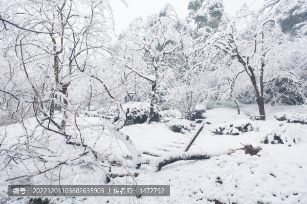武漢東湖磨山風(fēng)景區(qū)冬季雪景