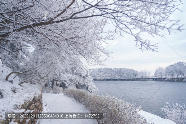 江西廬山風(fēng)景區(qū)雪景風(fēng)光