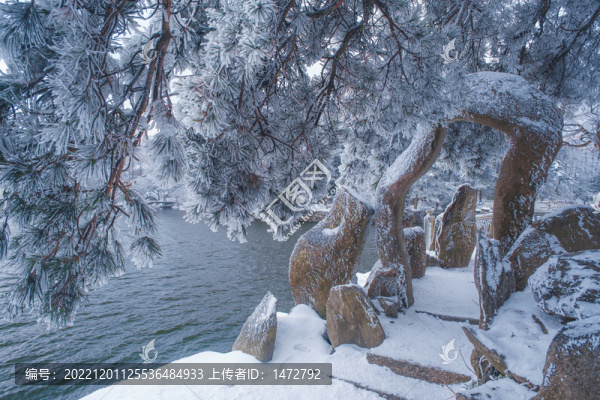 江西廬山風(fēng)景區(qū)雪景風(fēng)光