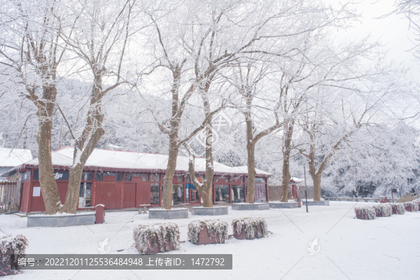 江西廬山風(fēng)景區(qū)雪景風(fēng)光