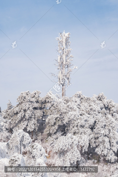 江西廬山風(fēng)景區(qū)雪景風(fēng)光