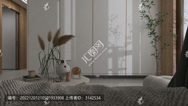 客廳的植物光影效果圖