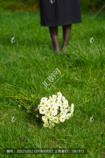 菊花哀悼