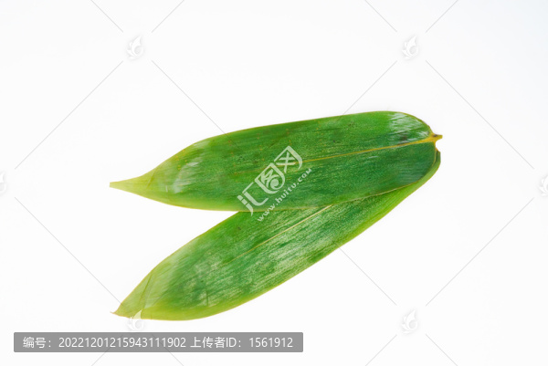 粽葉