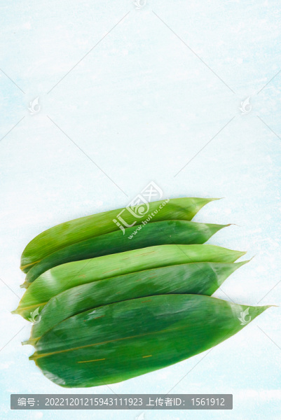 粽葉