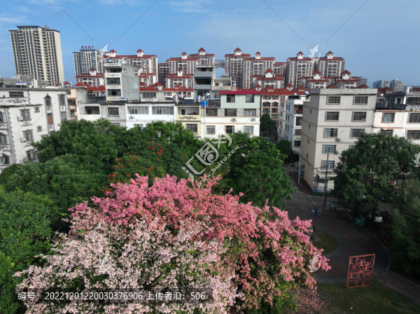 城市綠化