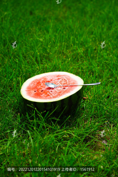草地上的西瓜夏至立夏