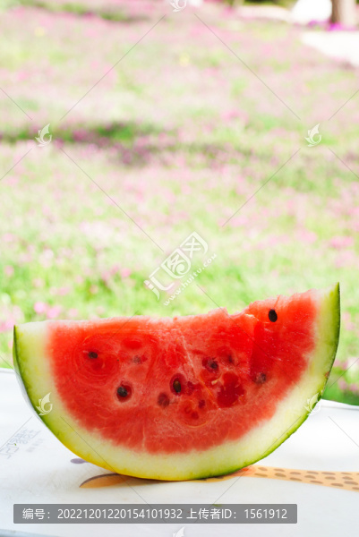 草地上的西瓜夏至立夏