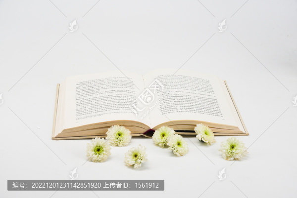 文藝書本花朵