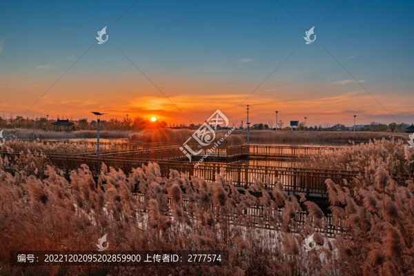 水上公園