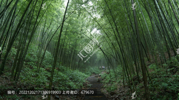 南山竹海