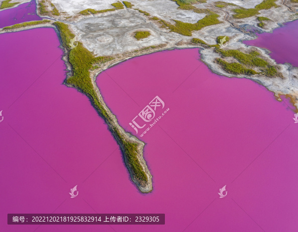 山西運(yùn)城鹽湖變身玫瑰湖