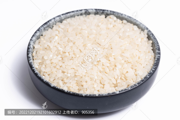 胚芽米