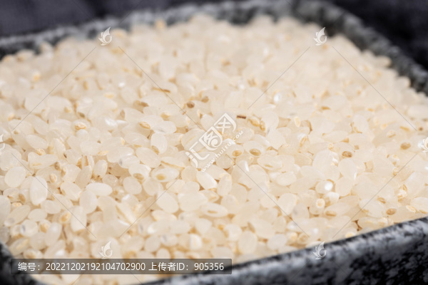 胚芽米