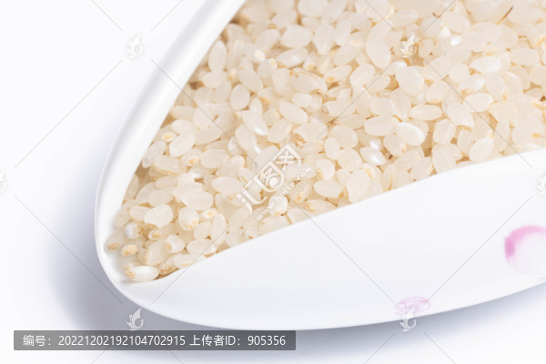 胚芽米